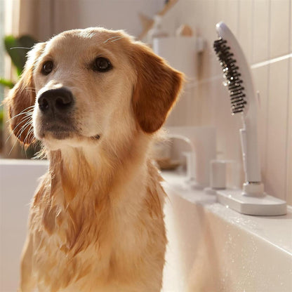 hansgrohe DogShower - Hundedusche mit 3 Strahlarten, Duschkopf für Hunde zur Fellpflege mit Streichelnoppen